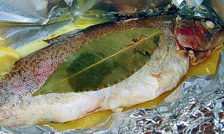 ryba v alobalu